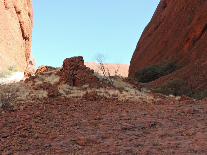 DSCN5824.JPG