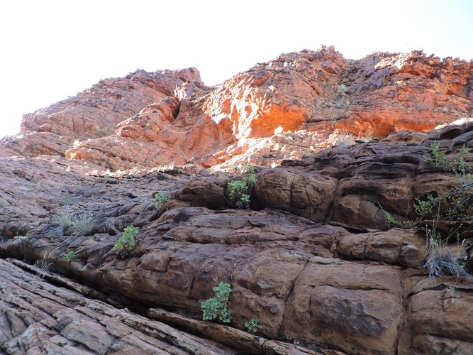 DSCN5868.JPG