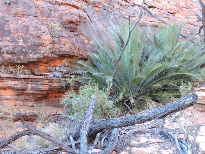DSCN5871.JPG