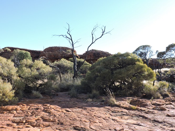 DSCN5876.JPG