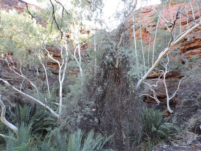 DSCN5901.JPG