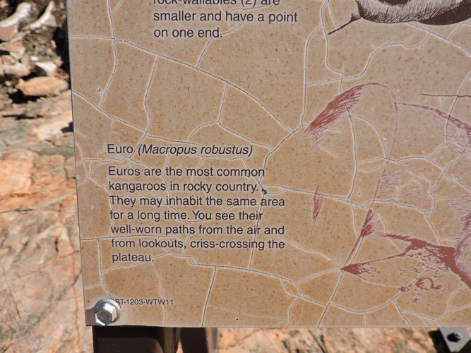 DSCN5919.JPG