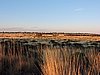 DSCN5680.JPG