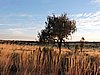 DSCN5681.JPG