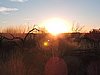 DSCN5682.JPG