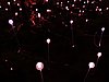 DSCN5705.JPG