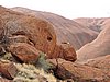 DSCN5717.JPG