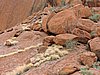 DSCN5718.JPG