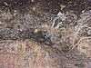 DSCN5719.JPG