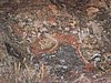 DSCN5720.JPG
