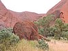 DSCN5724.JPG