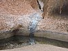 DSCN5727.JPG