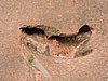 DSCN5740.JPG