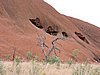 DSCN5749.JPG