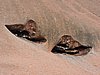 DSCN5750.JPG