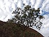 DSCN5751.JPG