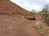 DSCN5753.JPG