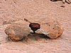 DSCN5755.JPG