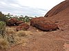 DSCN5758.JPG