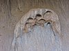 DSCN5761.JPG