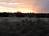 DSCN5782.JPG