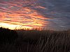 DSCN5789.JPG