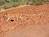 DSCN5801.JPG