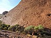 DSCN5803.JPG