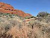 DSCN5812.JPG