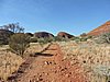 DSCN5813.JPG