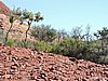 DSCN5817.JPG