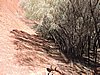 DSCN5821.JPG