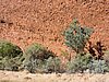 DSCN5823.JPG