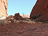 DSCN5824.JPG
