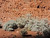DSCN5827.JPG