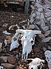 DSCN5840.JPG