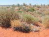 DSCN5854.JPG