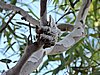 DSCN5860.JPG