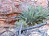 DSCN5871.JPG