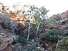 DSCN5898.JPG