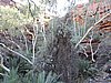 DSCN5901.JPG