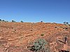 DSCN5915.JPG