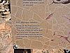 DSCN5919.JPG