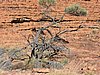 DSCN5921.JPG