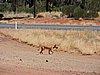 DSCN5928.JPG