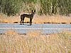 DSCN5930.JPG