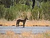 DSCN5931.JPG