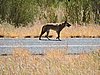 DSCN5932.JPG