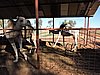 DSCN5933.JPG