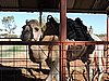 DSCN5934.JPG